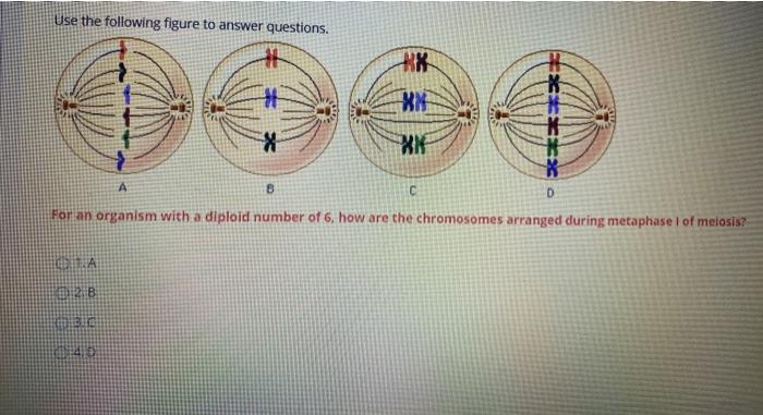 Solved Use the following figure to answer questions. # 카 KX | Chegg.com