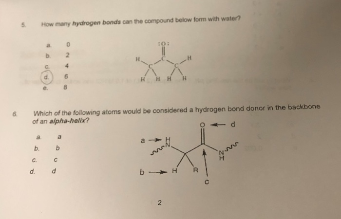 Solved How Many Hydrogen Bonds Can The Compound Below For
