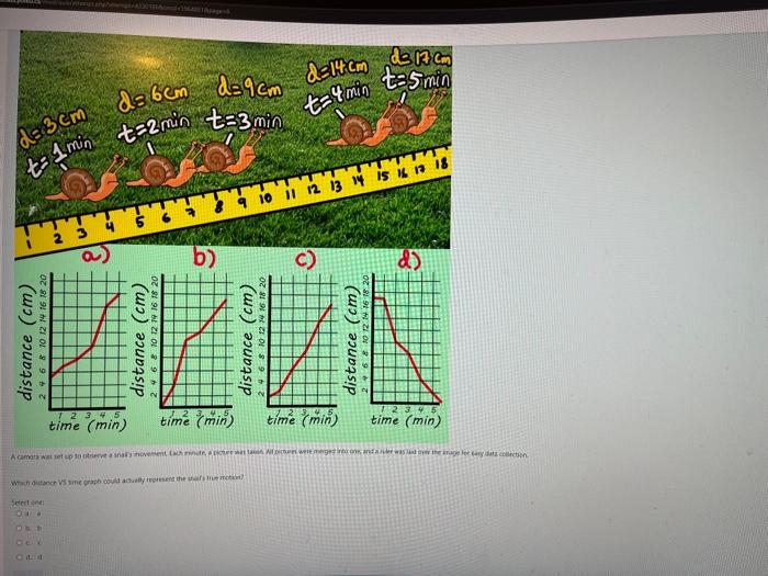 solved-sericint-a-awhich-distance-vs-time-graph-could-chegg