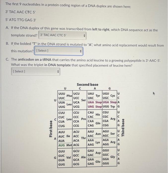 Solved The first 9 nucleotides in a protein coding region of | Chegg.com