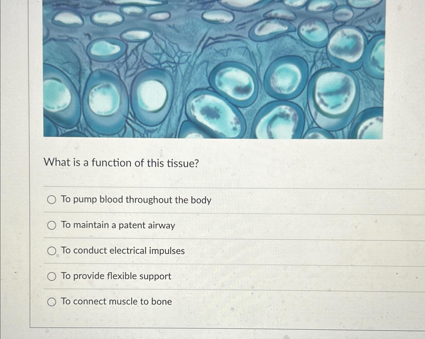 Solved What is a function of this tissue?To pump blood | Chegg.com