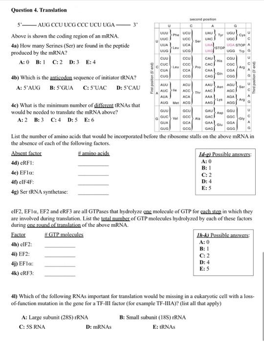 Solved Above is shown the coding region of an mRNA. 4a) How | Chegg.com