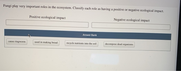 Solved Fungi play very important roles in the ecosystem. | Chegg.com