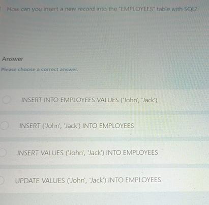 Solved How can you insert a new record into the 'EMPLOYEES' | Chegg.com