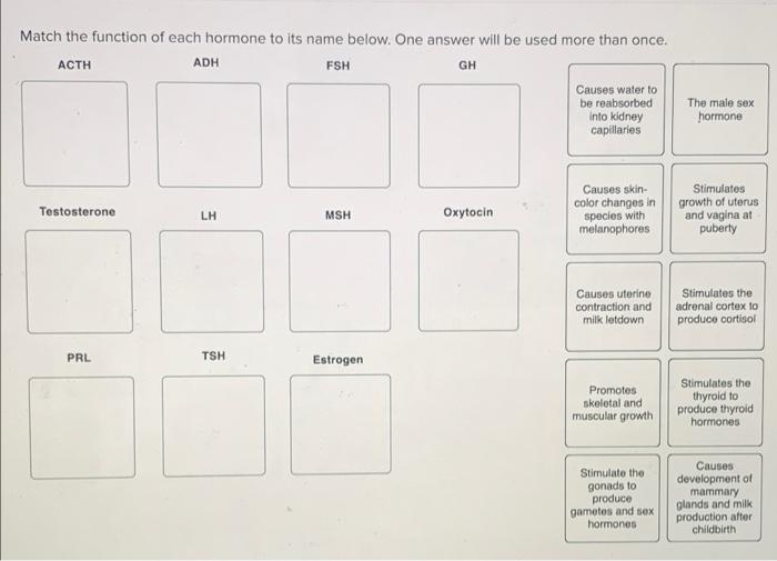 Solved Match the function of each hormone to its name below. | Chegg.com