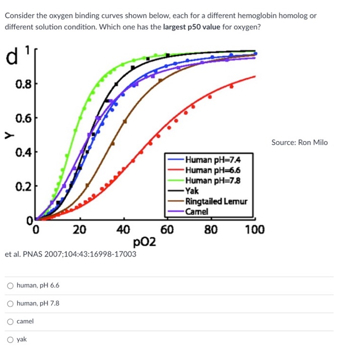 Solved Consider The Oxygen Binding Curves Shown Below Each 8568