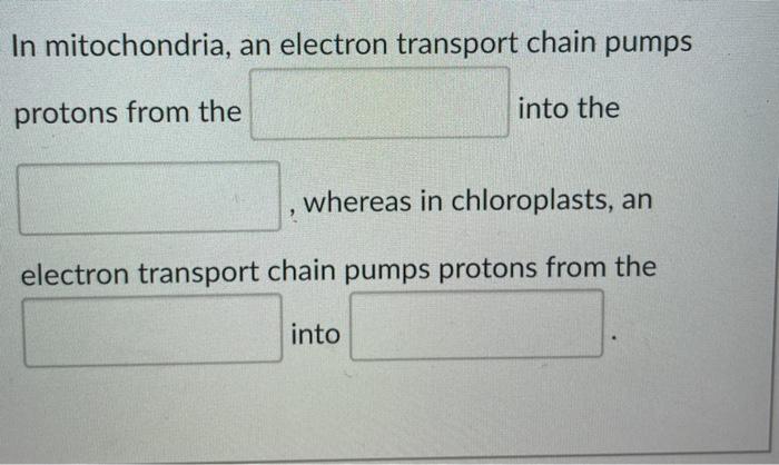 Solved In mitochondria, an electron transport chain pumps | Chegg.com