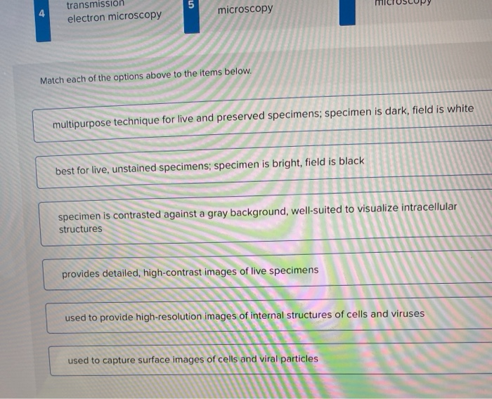Solved Esment Saved Help s scanning electron microscopy N | Chegg.com