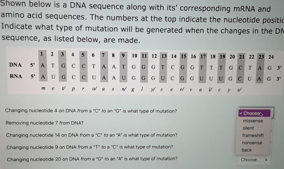Solved Shown below is a DNA sequence along with its' | Chegg.com