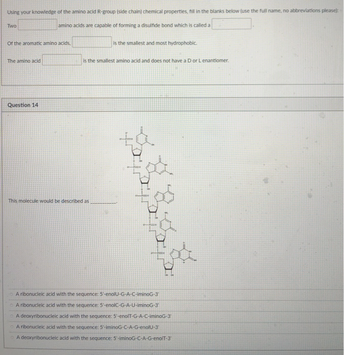 Solved Using your knowledge of the amino acid Rgroup (side