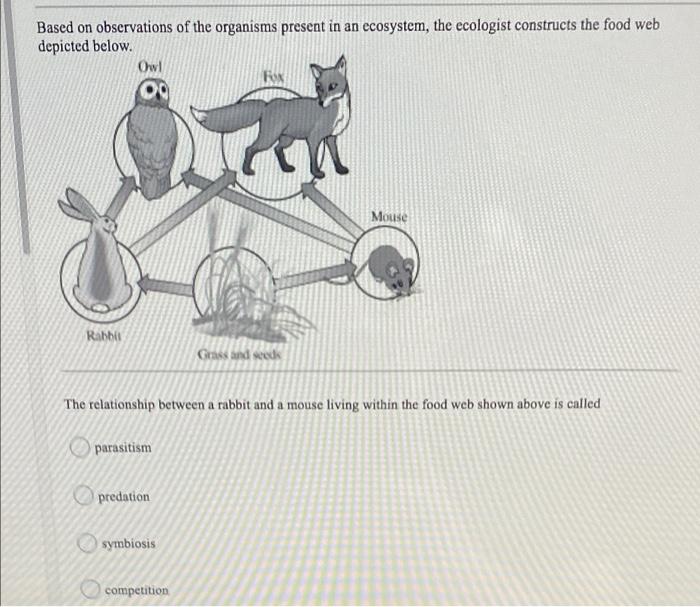 Solved Explain how the burning of fossil fuels is affecting | Chegg.com