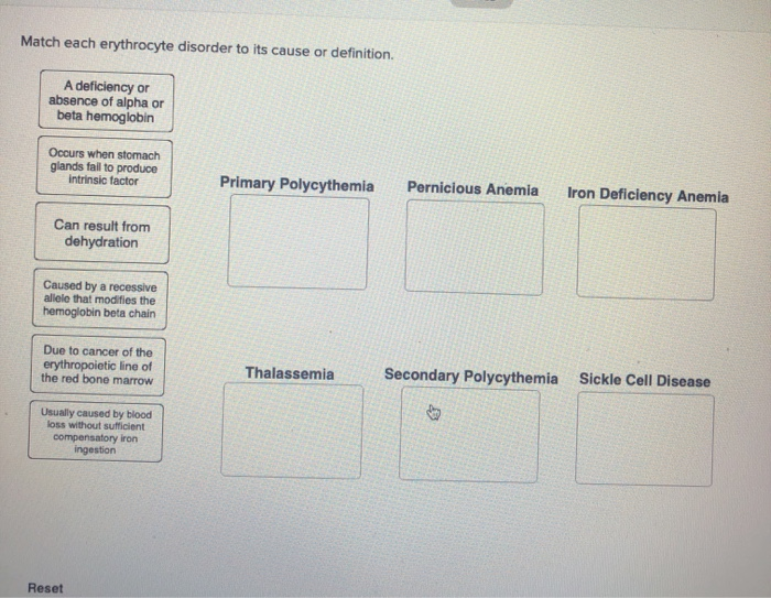 Solved Match each erythrocyte disorder to its cause or