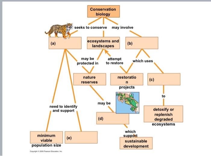 Conservation Biology Seeks To Conserve May Involve | Chegg.com