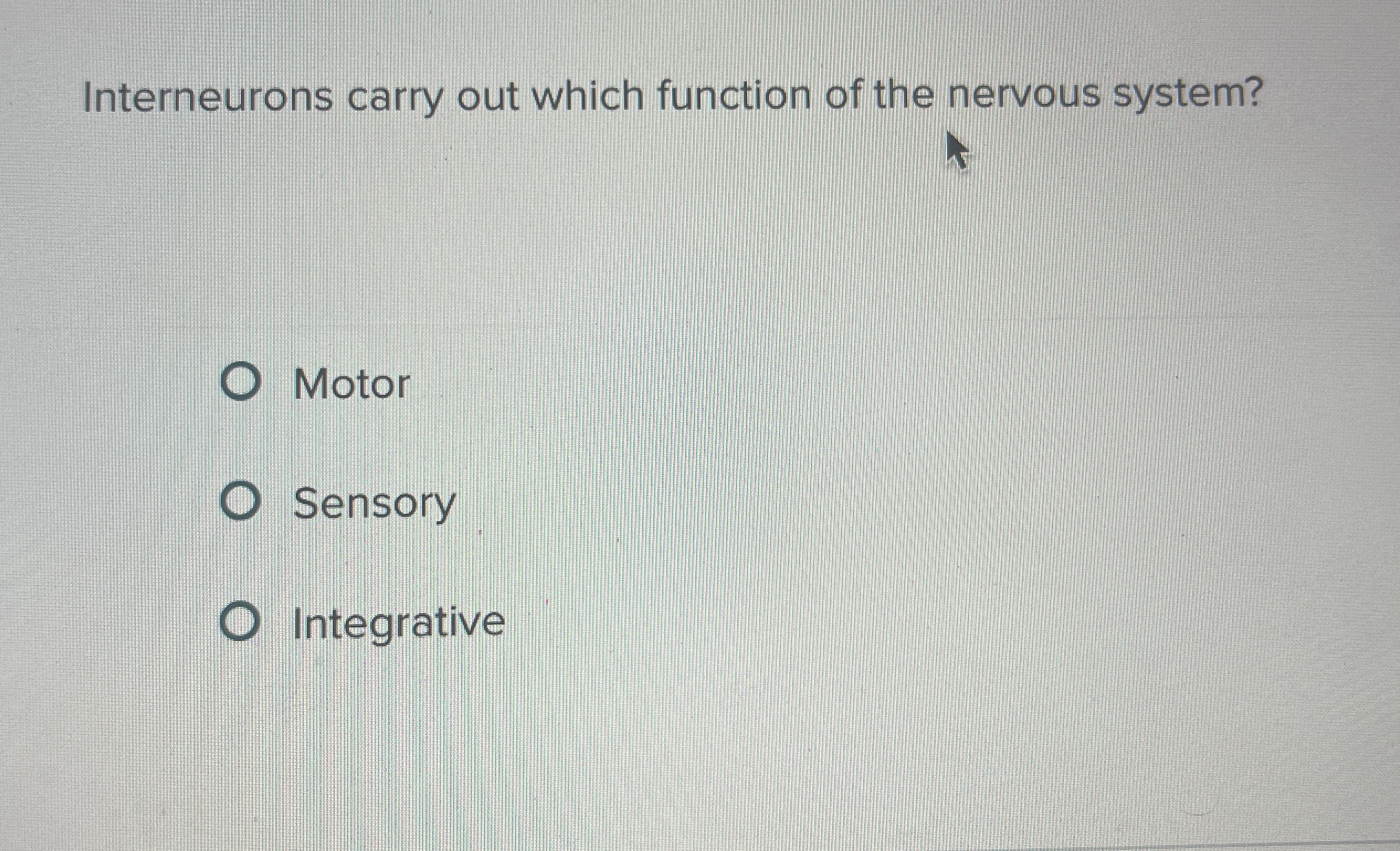 Solved Interneurons carry out which function of the nervous | Chegg.com