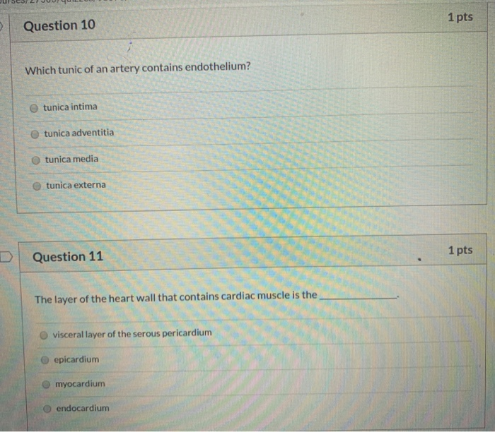 Solved Juscu 1 Pts Question 10 Which Tunic Of An Artery | Chegg.com Solved Juscu 1 Pts Question 10 Which Tunic Of An Artery | Chegg.com