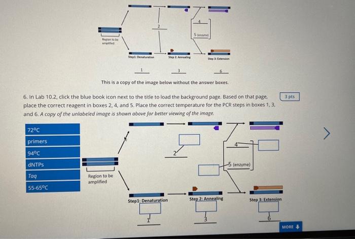 Solved This is a copy of the image below without the answer | Chegg.com