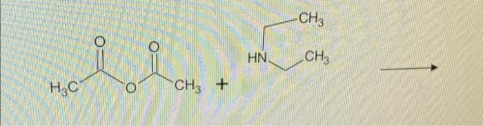 Solved CH3 HN CH3 ml H3C CH3 + | Chegg.com