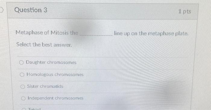 Solved Metaphase of Mitosis the line up on the metaphase | Chegg.com