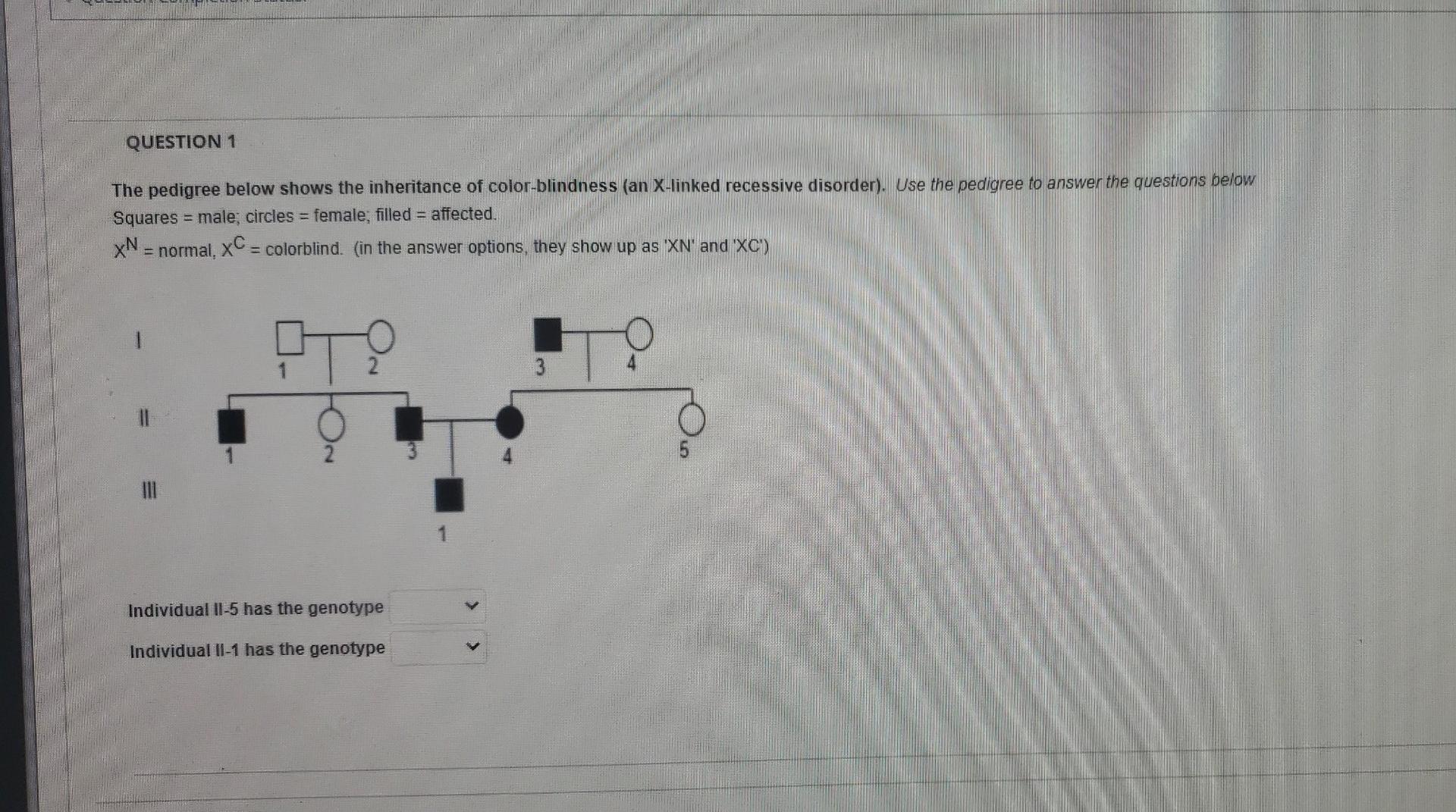 QUESTION 1
The pedigree below shows the inheritance of color-blindness (an X-linked recessive disorder). Use the pedigree to