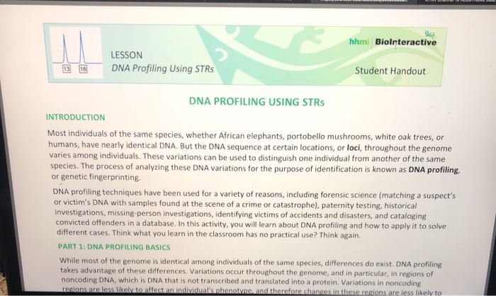 solved-hhmi-biolnteractive-lesson-dna-profiling-using-strs-chegg