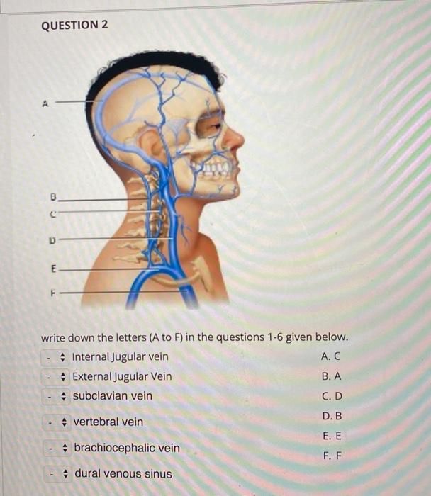 QUESTION 2 D E write down the letters (A to F) in the questions 1-6 given below. Internal Jugular vein A.C External Jugular V