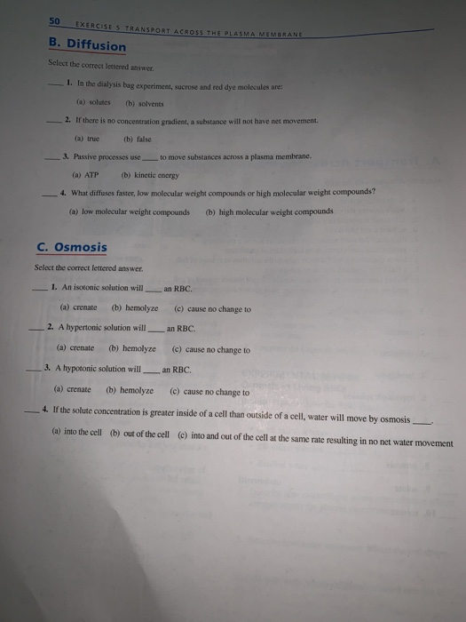 Solved Name Date Section Reviewing Your Knowledge Exercis Chegg Com