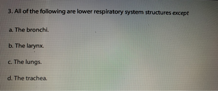 Solved 3. All of the following are lower respiratory system | Chegg.com