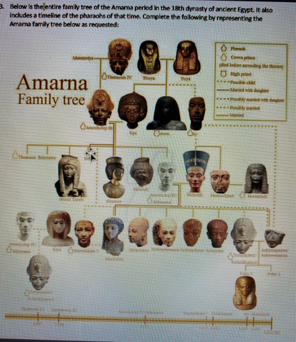 3. Below Is The Entire Family Tree Of The Amarna | Chegg.com