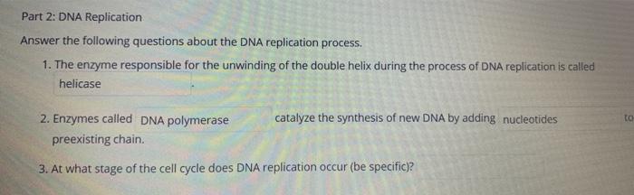 Solved Part 2: DNA Replication Answer the following | Chegg.com