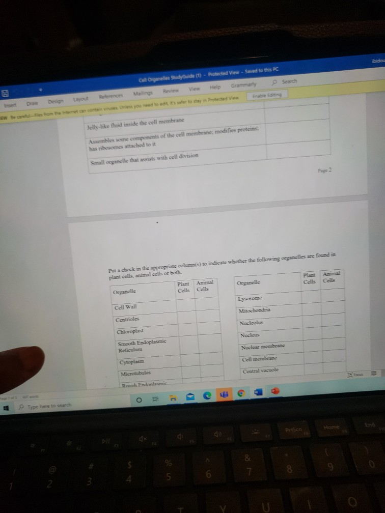Solved Cell Organelles Study Guide (1) Protected View