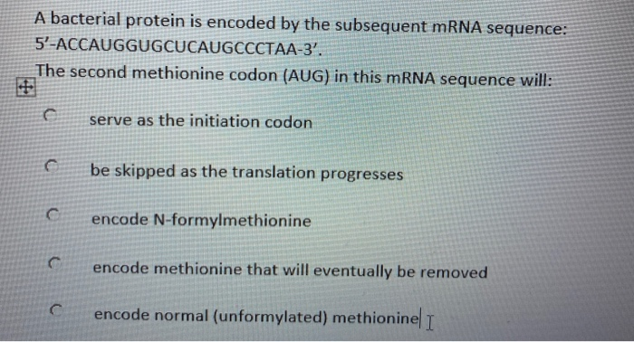 Solved A bacterial protein is encoded by the subsequent mRNA | Chegg.com