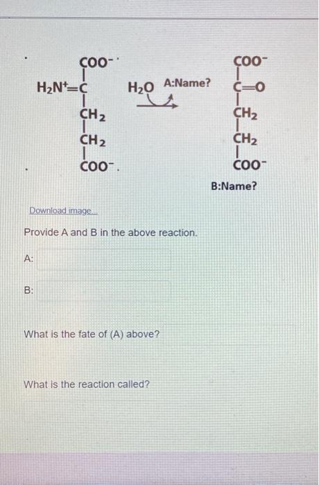 Solved COO- ÇOO H2N=C H2O A:Name? C=0 CH2 CH2 CH2 | COO. CH2 | Chegg.com