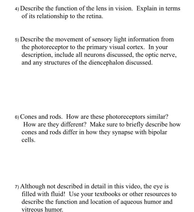 Solved 4) Describe the function of the lens in vision. | Chegg.com