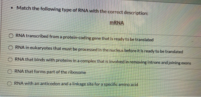 Solved • Match The Following Type Of RNA With The Correct | Chegg.com