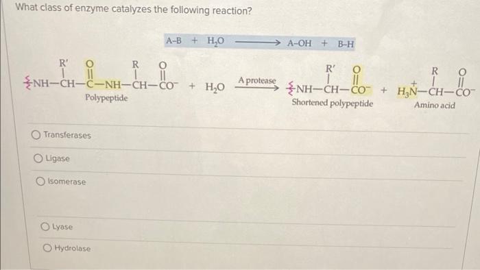 Solved What is the class of enzyme that catalyzes the | Chegg.com