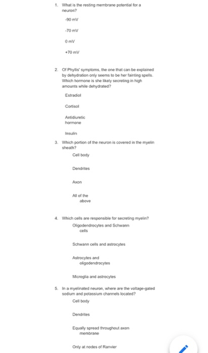 Neuron diagram labeled picture