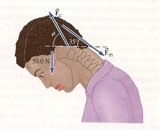 Solved A student's head is bent over her physics book. The | Chegg.com