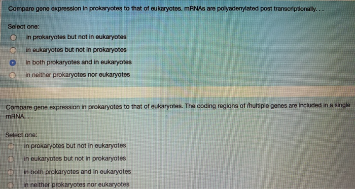 Solved Compare gene expression in prokaryotes to that of | Chegg.com