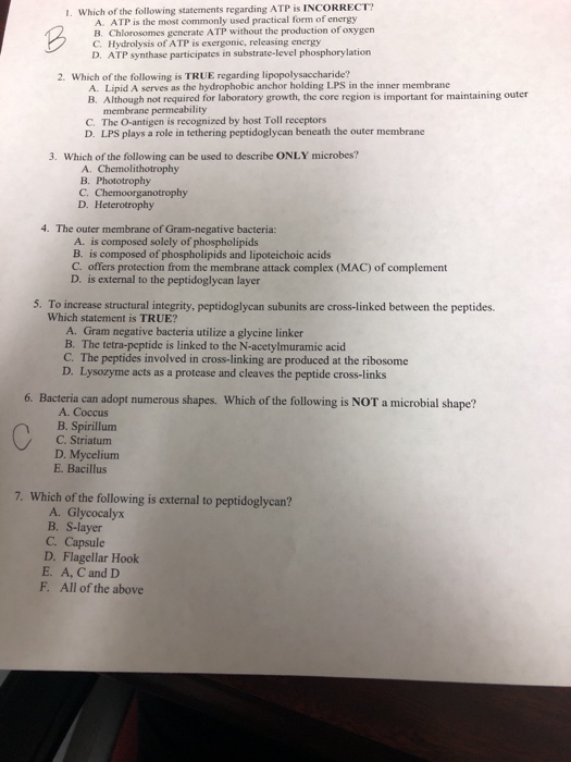 Solved 1. Which Of The Following Statements Regarding Atp Is | Chegg.com Solved 1. Which Of The Following Statements Regarding Atp Is | Chegg.com