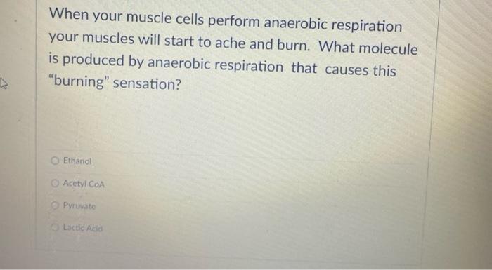 Solved When your muscle cells perform anaerobic respiration | Chegg.com