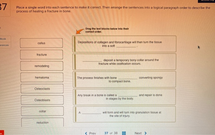 Solved 37 Place A Single Word Into Each Sentence To Make It Chegg