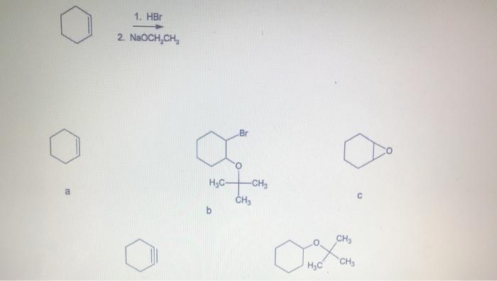 Solved What is the expexted major product from the following | Chegg.com