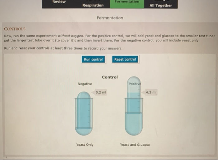 Fermentation process image