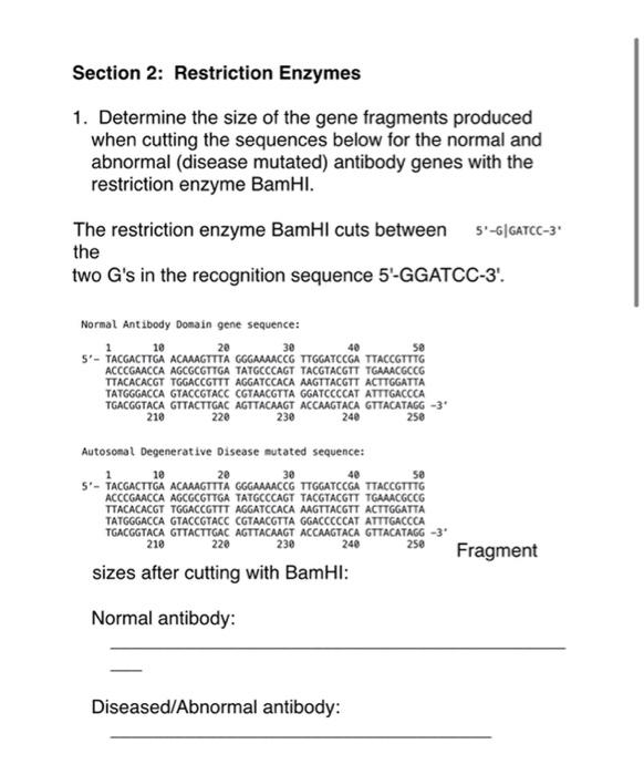 Solved Innocence Project Answer Sheet_V... U Section 1: | Chegg.com