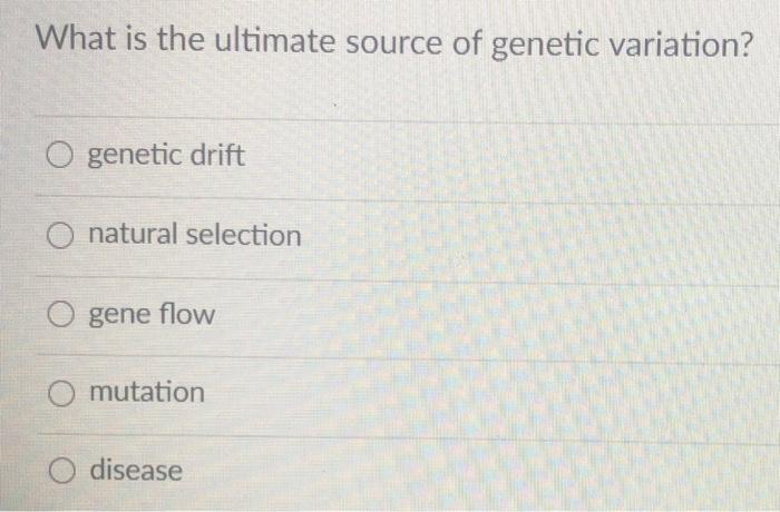 Solved What is the ultimate source of genetic variation? O | Chegg.com