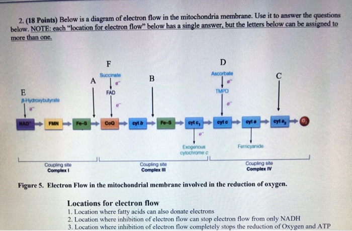 Solved 2. (18 Points) Below is a diagram of electron flow in | Chegg.com