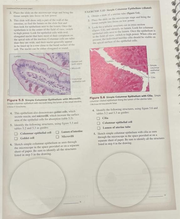 Solved 2. Place the slide on the microscope and bring the | Chegg.com