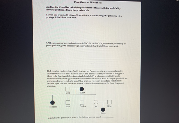 Solved Corn Genetics Worksheet Combine the Mendelian | Chegg.com