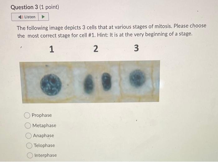 Solved The following image depicts 3 cells that at various | Chegg.com