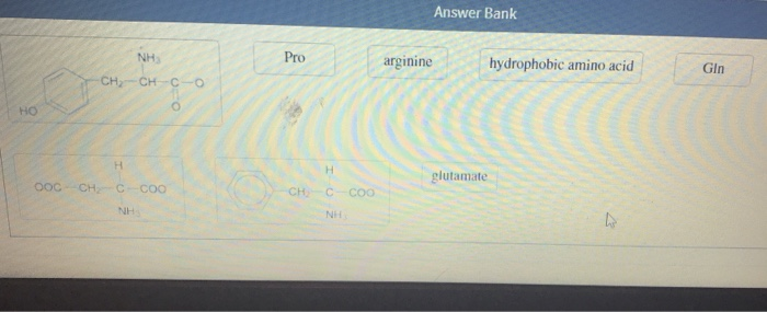 Solved Determine whether the side chain of each of the amino | Chegg.com